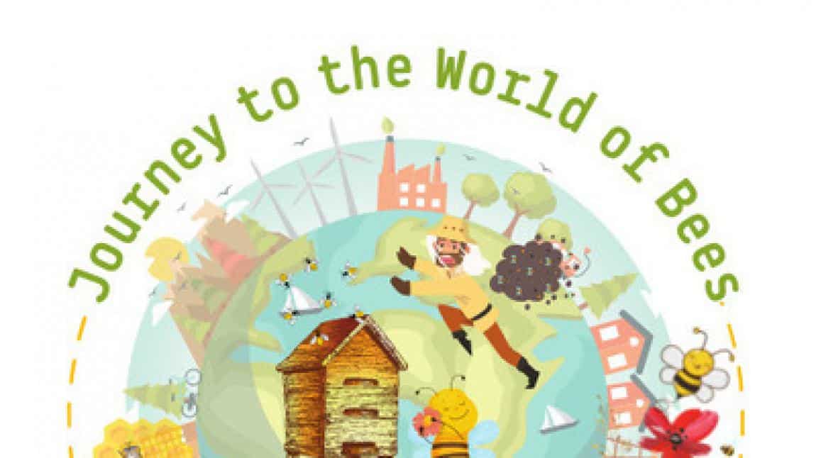 Journey To The World Of Bees eTwinning Projesi Türk Bayrağı Etkinliği